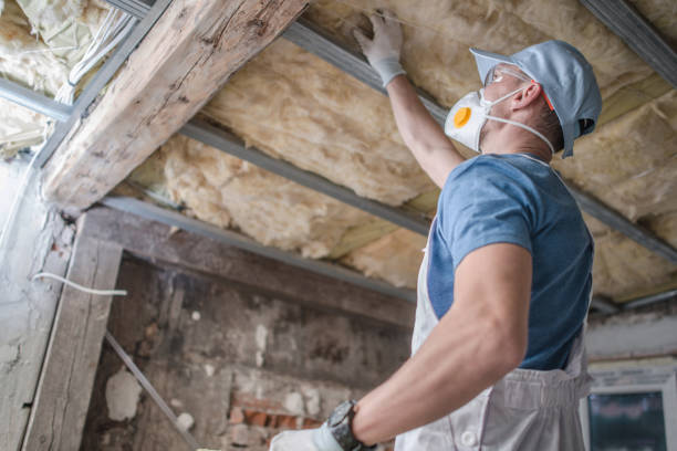 Best Insulation Maintenance and Repair in Concord, MO